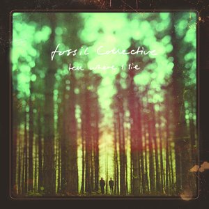 Image for 'Tell Where I Lie'