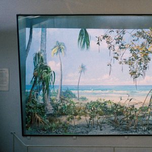Image for 'Nostalgia Por Mesozóica'