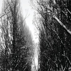 Zdjęcia dla 'Yurei'