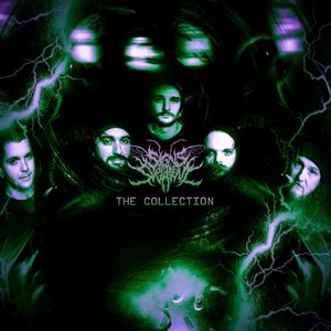 Image for 'The Collection'