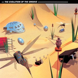 Image pour 'The Evolution of the Groove'