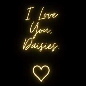 Immagine per 'Borrowed Lights'