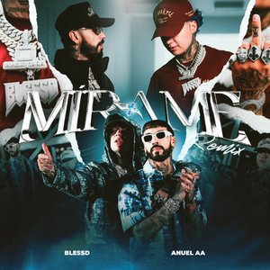 Image for 'MIRAME REMIX'