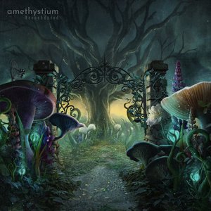 Image for 'Reenchanted'