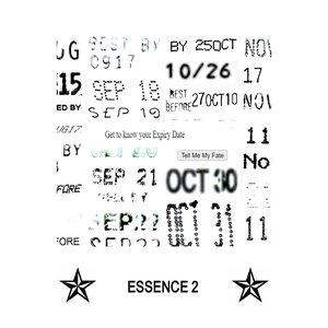 Image for 'Essence 2'