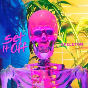 “Skeleton”的封面