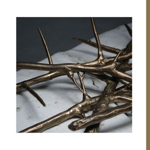 Image for 'De Doorn (Alternate Mix)'
