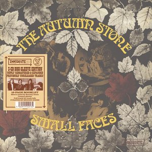 Bild für 'The Autumn Stone (2025 Remaster)'