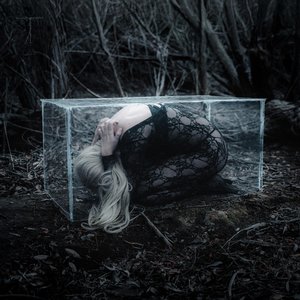 Image for 'Hide n Seek'