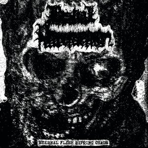 Image for 'Eternal Flesh Ripping Chaos'