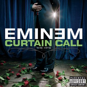 Image for 'Curtain Call - The Hits'