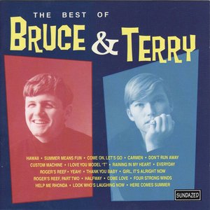 Image for 'The Best Of Bruce & Terry'