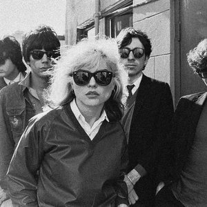 Zdjęcia dla 'Blondie'