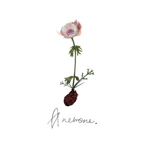 Image for 'Anemone'