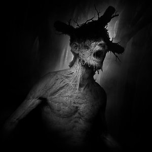 Изображение для 'Darkwood (Original Game Soundtrack)'