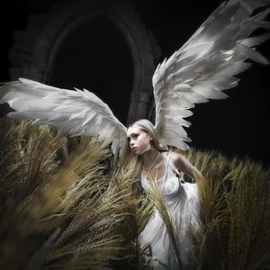 Image for 'I Am Digital, I Am Divine'