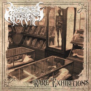 Immagine per 'Rare Exhibitions'