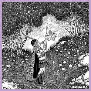 Image for 'VI'