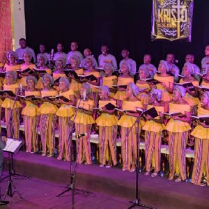Immagine per 'His Praise Chorale'