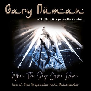 Изображение для 'When the Sky Came Down (Live at The Bridgewater Hall, Manchester)'