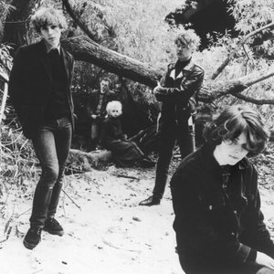 Image for 'The Pastels'