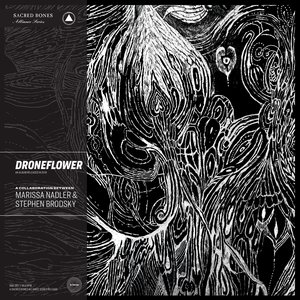 Image for 'Droneflower'