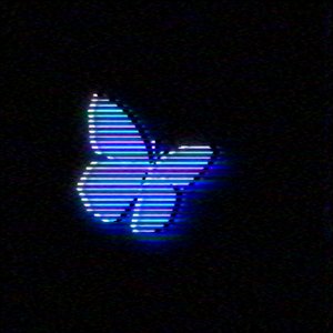 Image for 'NXMVD'