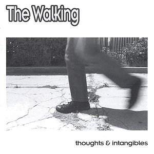 Image for 'thoughts and intangibles'