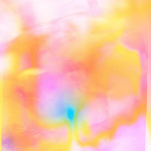 Image for 'Enfold'