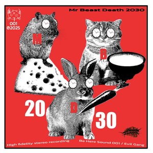 Image for 'Mr Beast Death 2030'