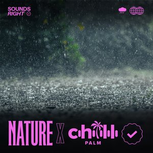 Image for 'Soothing Rain Songs'