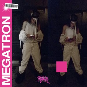 Image for 'MEGATRON'
