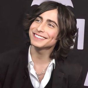 Bild für 'Aidan Gallagher'