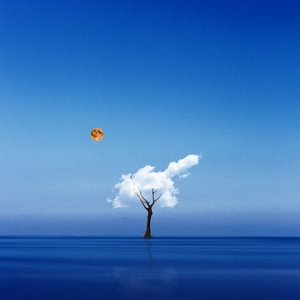 Image for 'Exposition III'