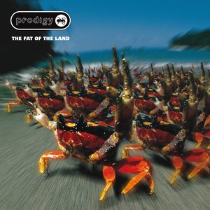 Image for 'The Fat of the Land (Expanded Edition)'