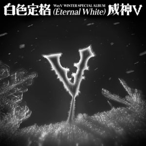 Immagine per '白色定格 (Eternal White) - Winter Special Album'