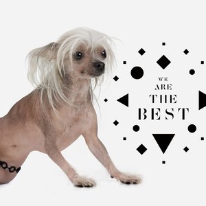 Image for 'We Are The Best'