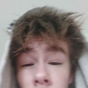 Изображение для 'Trxgic!'