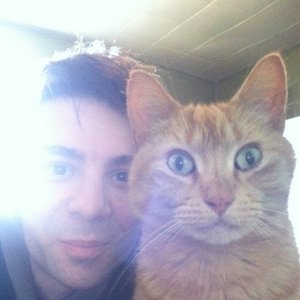 'Bengalfuel' için resim