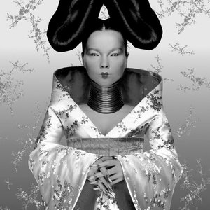 Image for 'Homogenic'