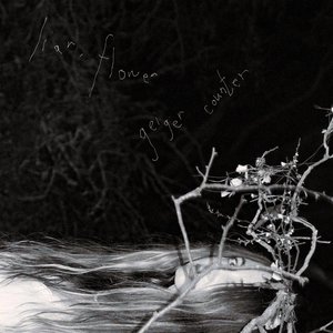 Immagine per 'geiger counter'