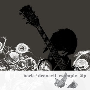 Immagine per 'dronevil - example -'