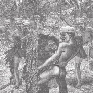Image for 'World'