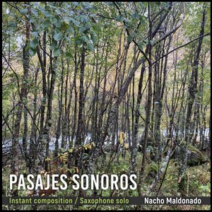 Image for 'Pasajes Sonoros, Instant Composition / Saxophone Solo'