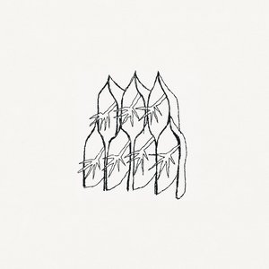 “Split”的封面