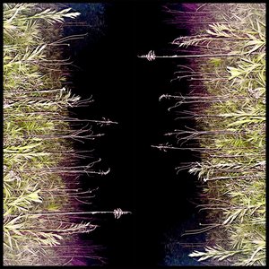 Zdjęcia dla 'Devil Dog [single]'