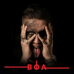 Image for 'BOA'