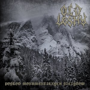 Image for 'Posrod Monumentalnych Szczytow'