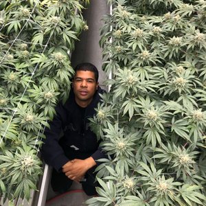 Image for 'Unreleased'