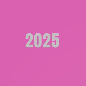 Image for '2025 (Live)'